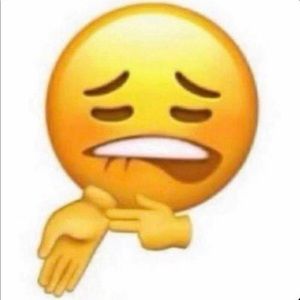 Meet your Posher, Sami